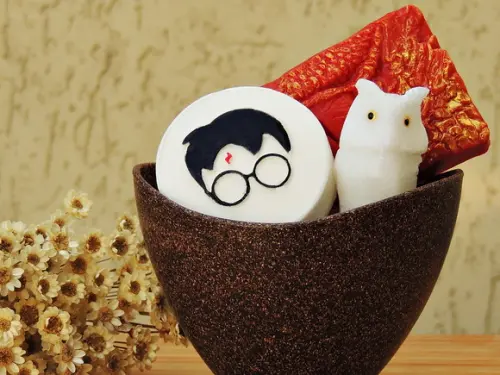 Kit Harry Potter 1