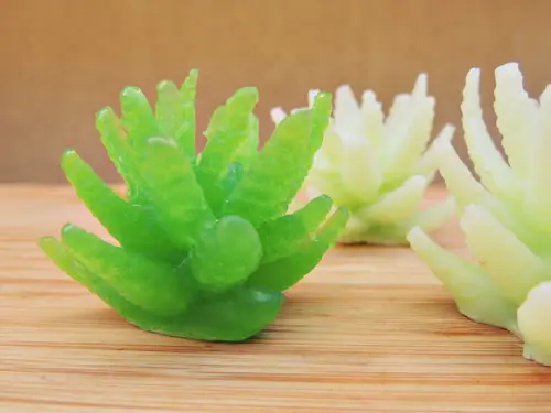 Sabonete Suculenta Aloe