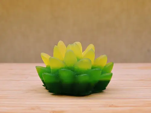 Sabonete Suculenta Flor de Lótus