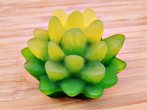 Sabonete Suculenta Flor de Lótus