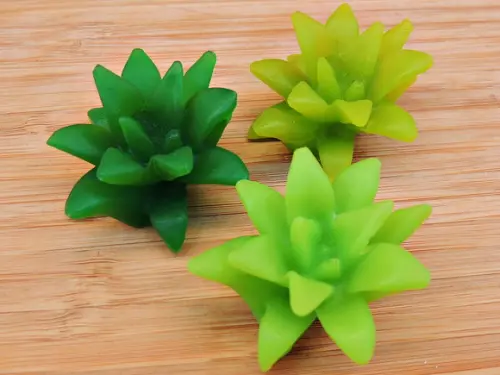 Sabonete Suculenta Haworthia - 6 Unidades