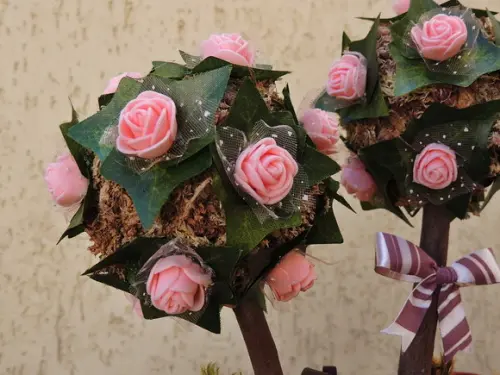 Topiaria Dupla