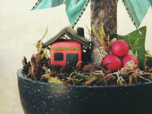 Topiaria Rosas Natal
