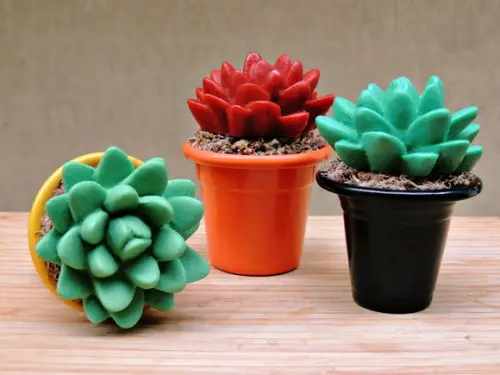 Vasinho com Suculenta de Sabonete - Escolha as Cores!
