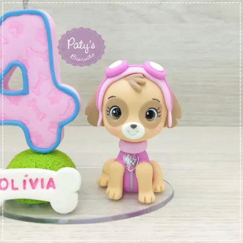 Topo com Vela Skye - Patrulha Canina (vela Rosa)