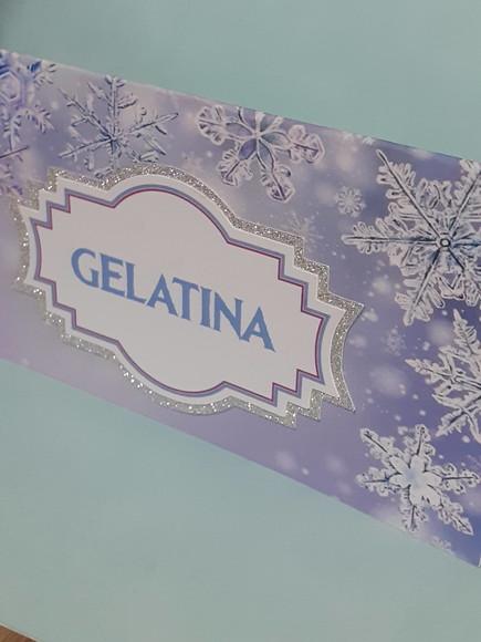10 Plaquinhas de Identificação/comida Frozen