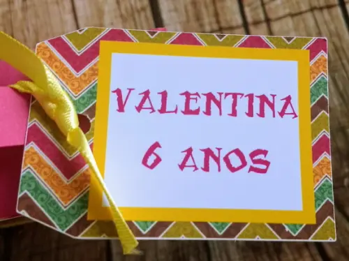 15 Maletas Viagem para Lembrancinha Moana