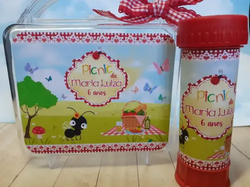Maleta acrílica com bolha de sabão - Piquenique