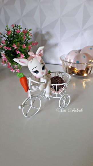 Coelhinho na bicicletinha em biscuit