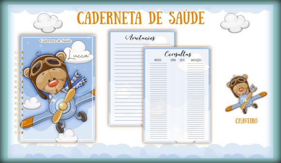 Arquivo Digital - Caderneta da Saude - Urso Aviador