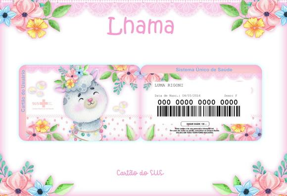 Arquivo Digital - Caderneta da Vacina - Lhama 03