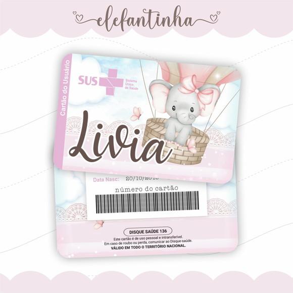 Arquivo Digital - Caderneta de Vacina - Elefantinha 03
