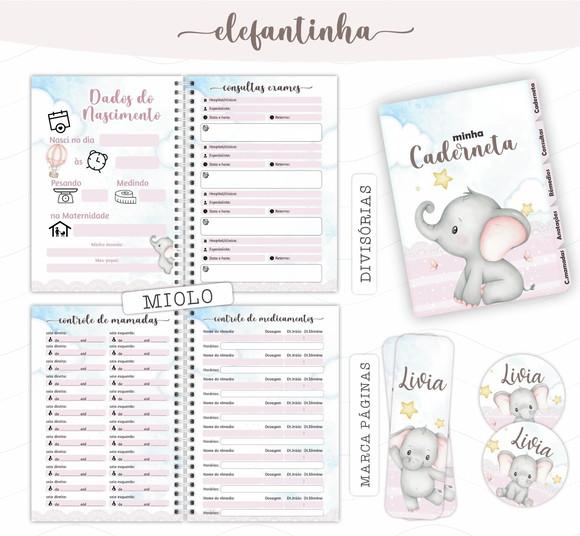 Arquivo Digital - Caderneta de Vacina - Elefantinha 03