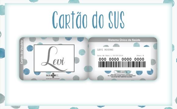 Arquivo Digital - Caderneta de Vacina - Poá 02