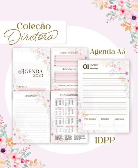 Arquivo Digital - Combo Diretora 2023