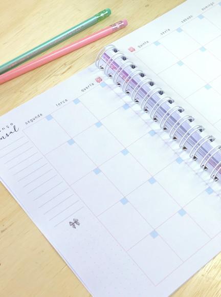 Arquivo Digital - Planner Financeiro 2021 e 2022 + Capas
