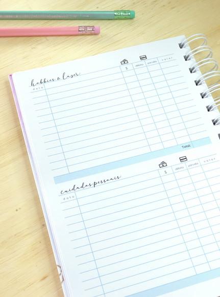 Arquivo Digital - Planner Financeiro 2021 e 2022 + Capas