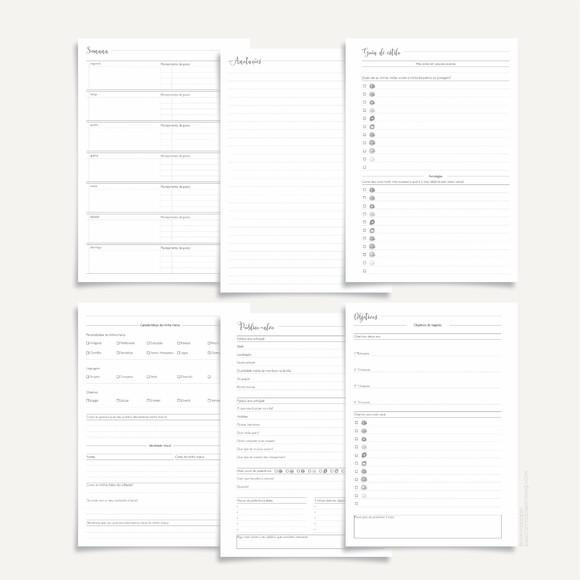 Arquivo Digital - Profissões - Digital Influencer (planner)