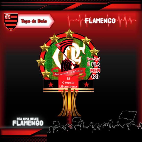 Arquivo Digital - Volta as Aulas - Flamengo 01