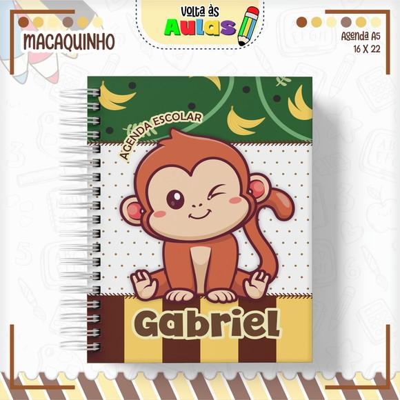 Arquivo Digital - Volta as Aulas - Macaquinho