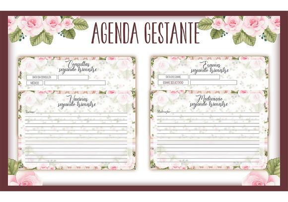 Arquivo digital -Mamãe - Agenda Gestante Negra