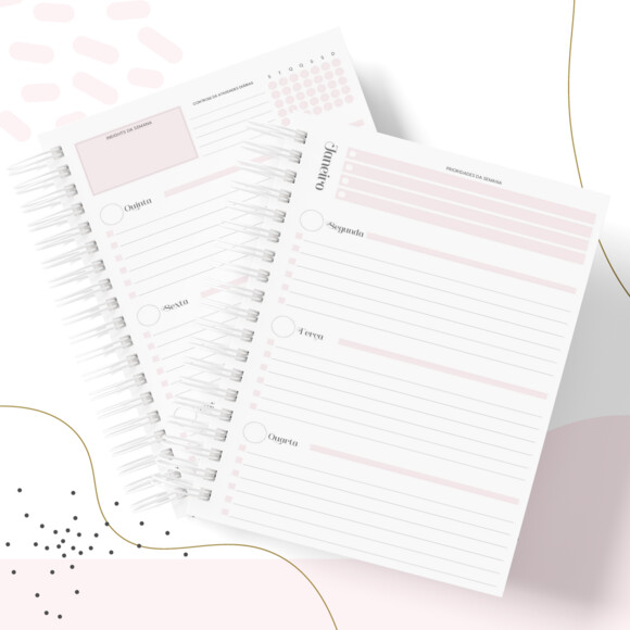 Arquivo Digital - Planner Empreenda Feminino