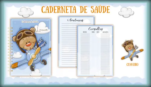 Arquivo Digital - Caderneta da Saude - Urso Aviador