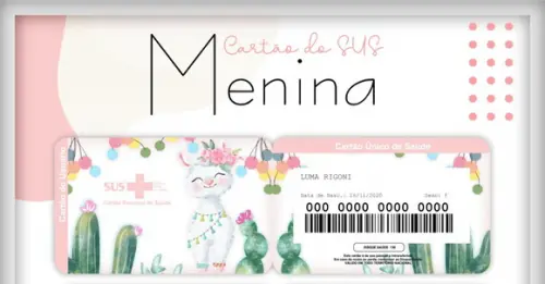 Arquivo Digital - Caderneta da Vacina - Lhama Menina