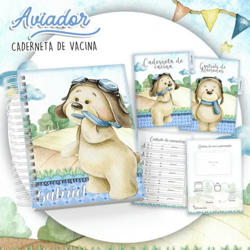 Arquivo Digital - Caderneta de Vacina - Aviador 02