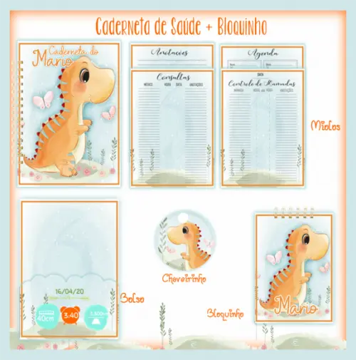 Arquivo Digital - Caderneta de Vacina - Dino Menino