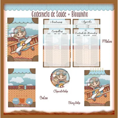 Arquivo Digital - Caderneta de Vacina - Menino Aviador 02