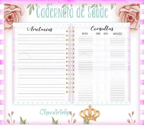 Arquivo Digital - Caderneta de Vacina - Nossa Senhora