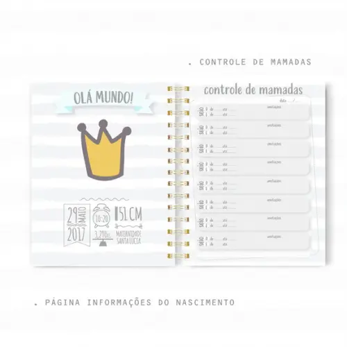 Arquivo Digital - Caderneta de Vacina - Pequeno Principe 05