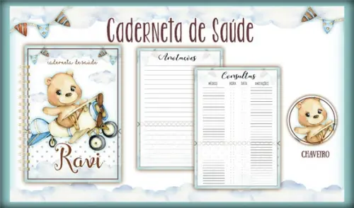 Arquivo Digital - Caderneta de Vacina - Urso Aviador 02