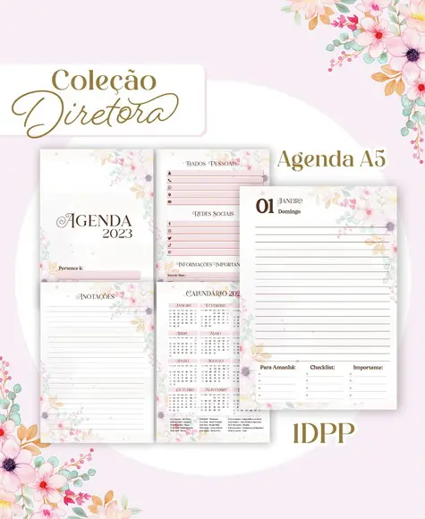 Arquivo Digital - Combo Diretora 2023