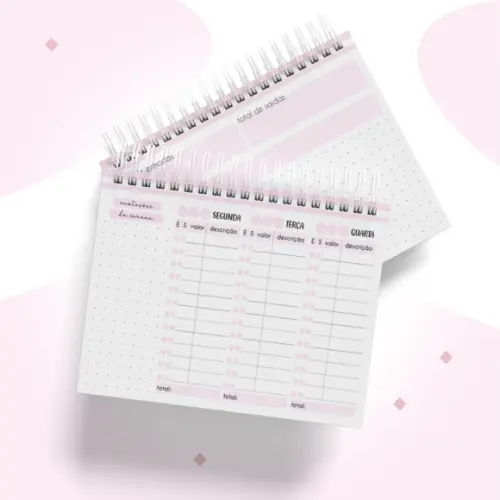 Arquivo Digital - Controle Financeiro Semanal Feminino