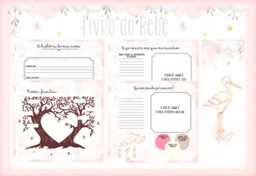 Arquivo Digital - Livro do Bebe - Cegonha Baby Menina
