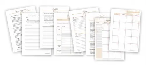 Arquivo Digital - Planner da Debutante (2022_2023)