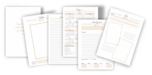 Arquivo Digital - Planner da Debutante (2022_2023)