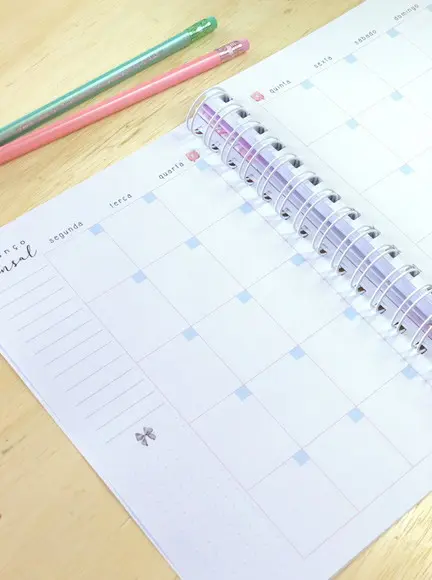 Arquivo Digital - Planner Financeiro 2021 e 2022 + Capas