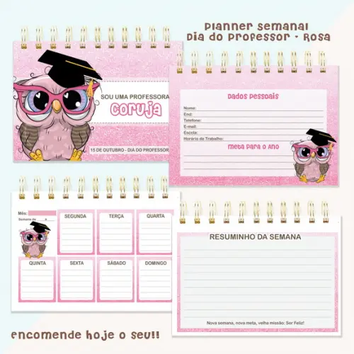Arquivo Digital - Professora - Mini Planner Semanal Rosa