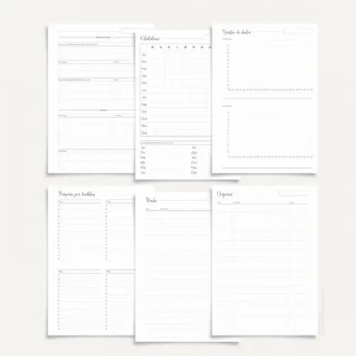 Arquivo Digital - Profissões - Digital Influencer (planner)