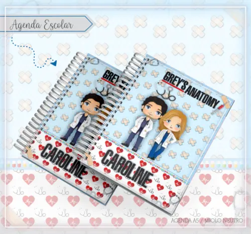 Arquivo Digital - Volta as Aulas - Greys Anatomy