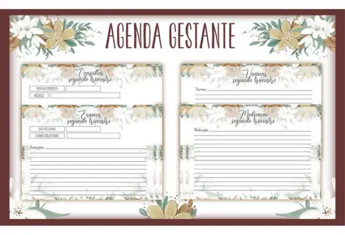 Arquivo digital -Mamãe - Agenda Gestante Oncinha