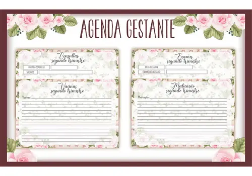 Arquivo digital -Mamãe - Agenda Gestante Negra