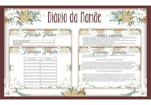 Arquivo digital -Mamãe - Diário da Mamãe Oncinha
