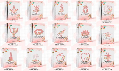 Arquivo Digital - Capas Profissões Feminino 02