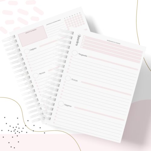 Arquivo Digital - Planner Empreenda Feminino