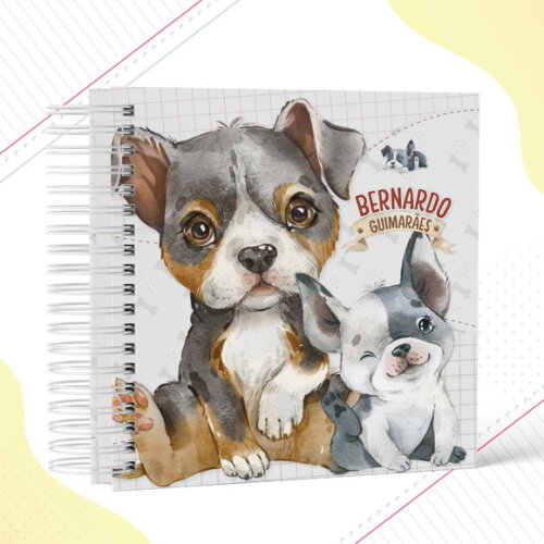 Arquivo Digital - Volta as Aulas - Pet Boy ate 2030