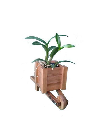 Carriola de madeira vaso para plantas